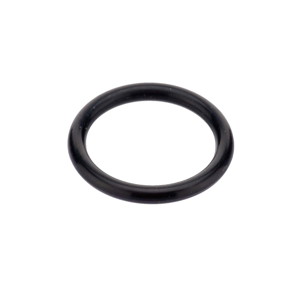 [ER5100] O-Ring für Diamant Mikrodermabrasions - Handstück (groß)